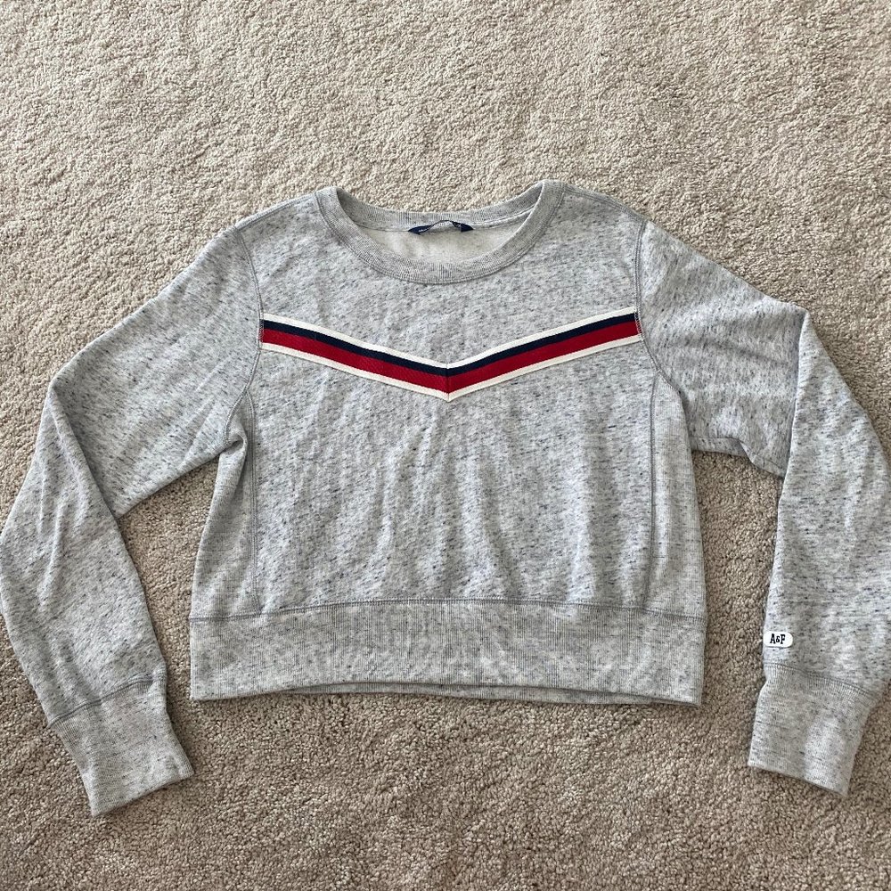 Abercrombie & Fitch Chevron Crew Sweatshirt